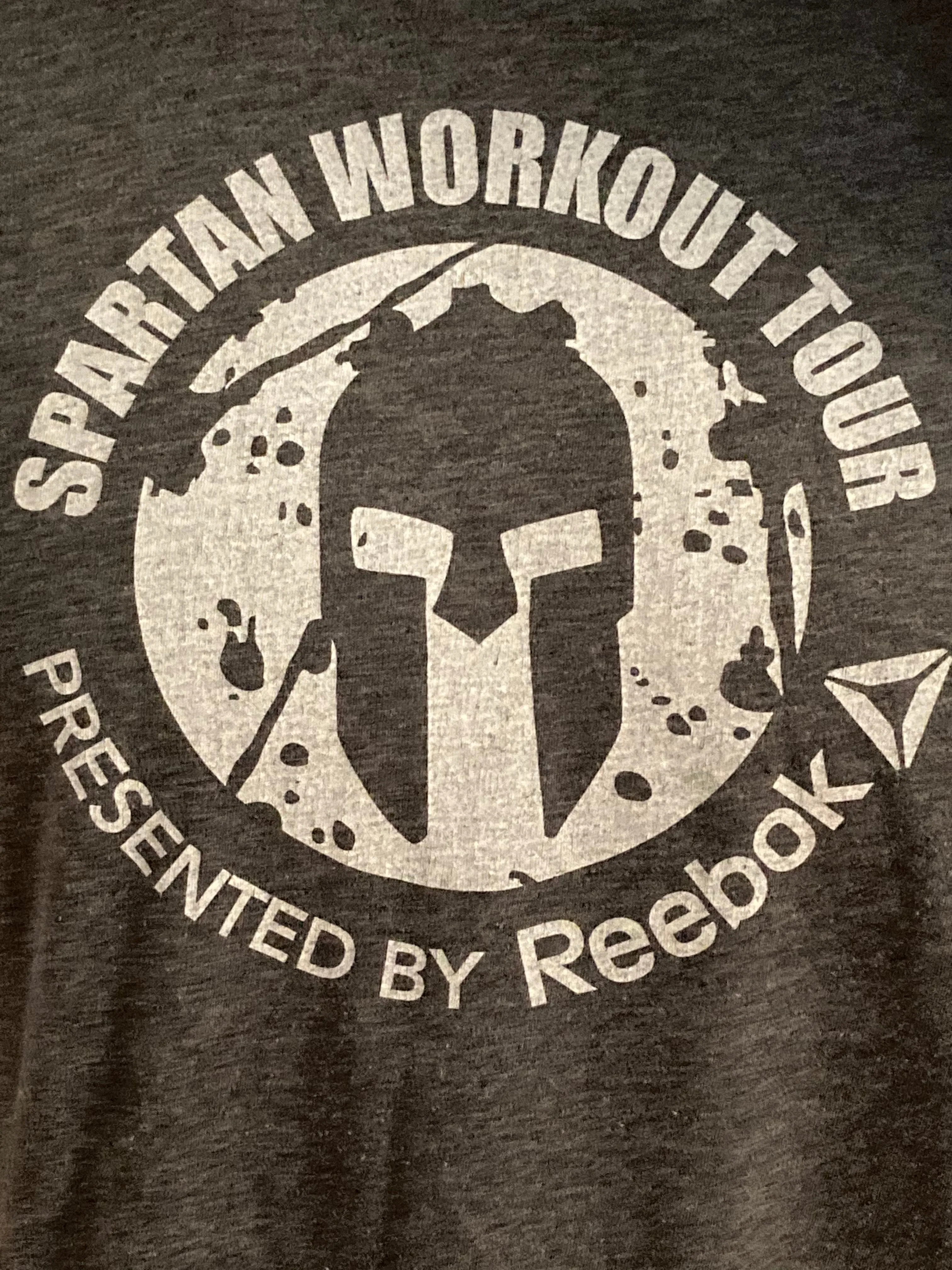 REEBOK "SPARTAN WORKOUT TOUR" Graphic Print Adult L Large Lrg Gray T-Shirt Tee Shirt