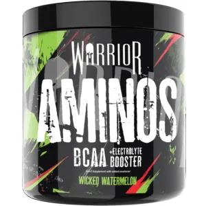 WARRIOR - aminos bcaa 360g